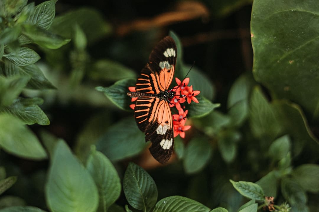 奇幻剧《韶光之轮》被砍 第三季为完结篇